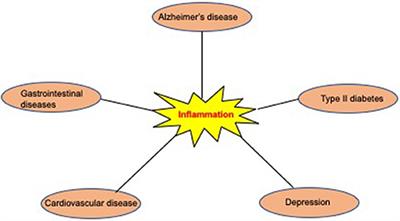 The Impact of Disease Comorbidities in Alzheimer's Disease